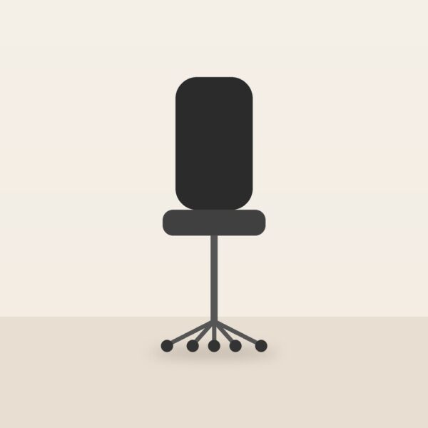 Ergo Office Chair